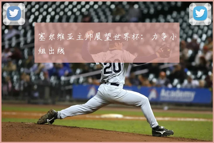 塞尔维亚主帅展望世界杯:力争小组出线