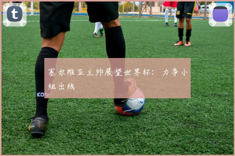 塞尔维亚主帅展望世界杯:力争小组出线