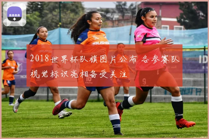 2018世界杯队旗图片公布 各参赛队视觉标识亮相备受关注