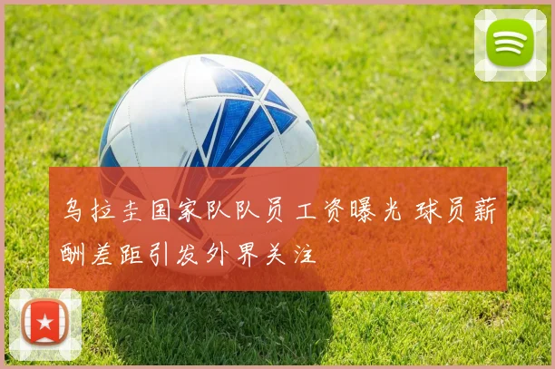 乌拉圭国家队队员工资曝光 球员薪酬差距引发外界关注