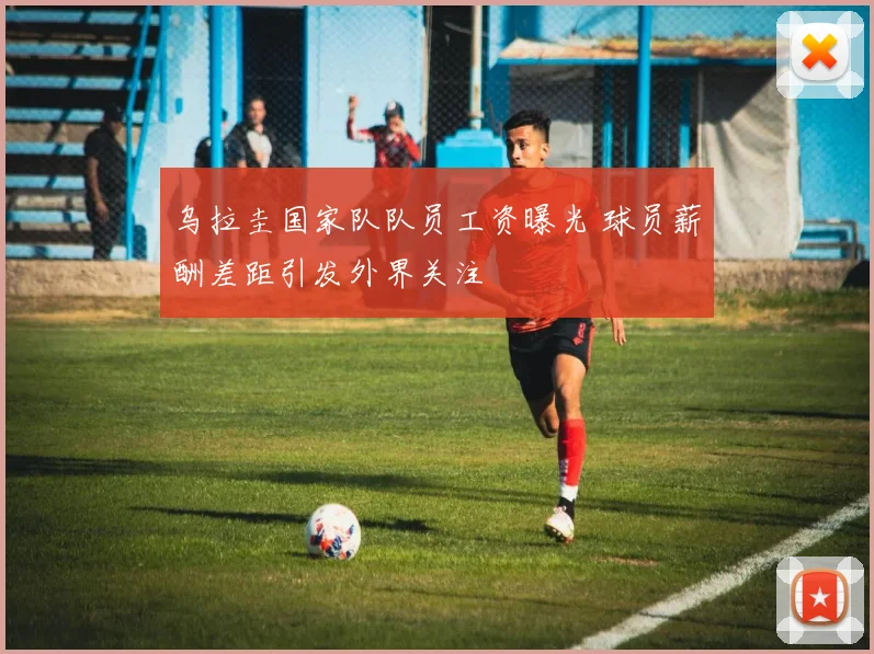 乌拉圭国家队队员工资曝光 球员薪酬差距引发外界关注