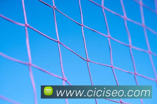 App Interface Preview